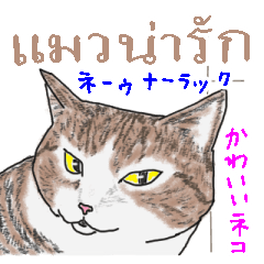 いつもいつでも タイ語 ２