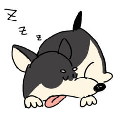 ケンタくんといっしょ