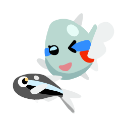 ネオンテトラと仲間たち