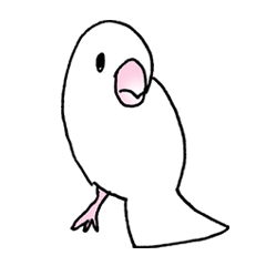 普通の文鳥ちゃん