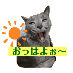 我が家の諭吉さん