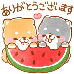 夏満喫❤️いやしばいぬ