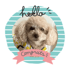 まろまのスタンプ