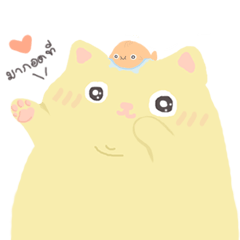 太った猫と金魚