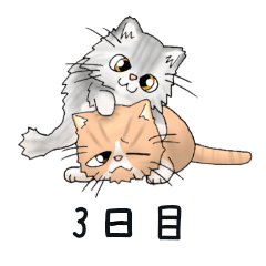 エキゾチックな毎日  三日目