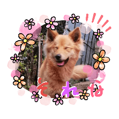 しずくちゃんスタンプ*No.2