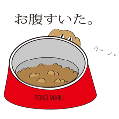 カニンヘンダックスのポコ丸スタンプ