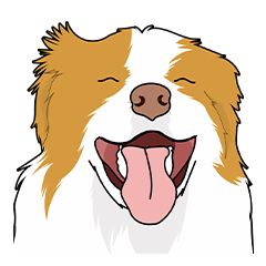 ボーダーコリー ノア 敬語 (大きな文字)