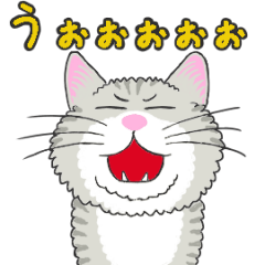 ウゴウゴ動く★いろんなニャンコ達