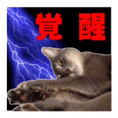 癒されペットの日常スタンプ4