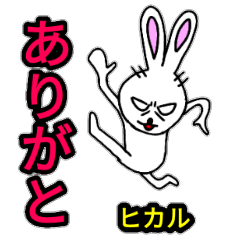 ヒカルちゃん使って下さい