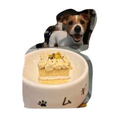 ハッピーバースデー