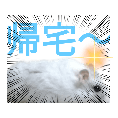 ハムちゃんの日常3