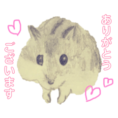 ハムスター　癒し系　手描き　色鉛筆　鉛筆