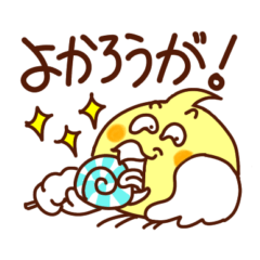 オカメインコのクマイチ　博多弁