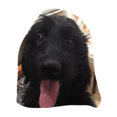 ヴィクトリア vol.1