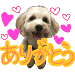 まるぷー☆こてつ