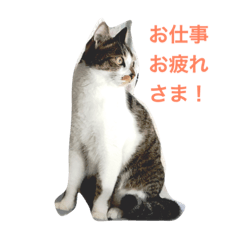 我が家のレオンスタンプ