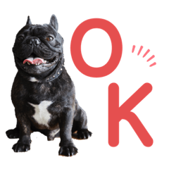 ネロくん日常　フレブル