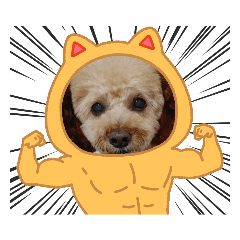 ばぶちゃん❤️可愛いトイプースタンプ❤️