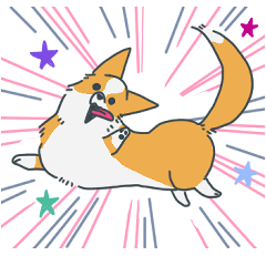 キツネみたいなしっぽのコーギー