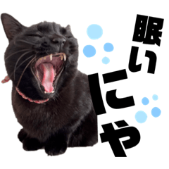 我はここ様にゃ