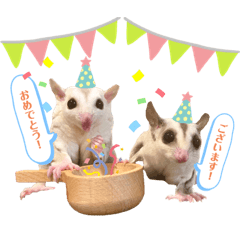 フクロモモンガ　大豆シスターズ