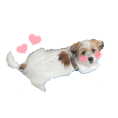 ぽんちゃん家スタンプ