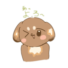 うちの犬ぽんず！！