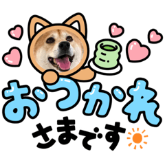 柴犬リンちゃんのスタンプ