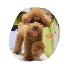 スタンぷたくん