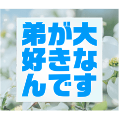 ブラザーコンプレックス専用(ブラコン)