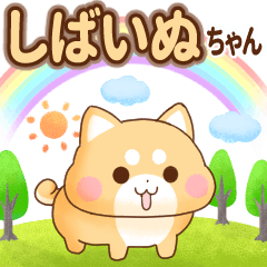 しばいぬちゃんのまったり日常