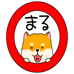 柴犬のふぅちゃん6