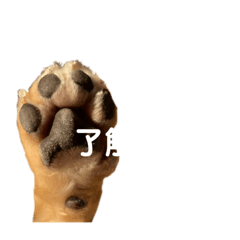 ろい獣のスタンプ