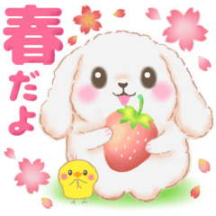 ベイビーうさぎさん「春」