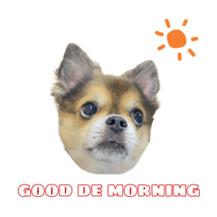 ちょこ君のすたんぷ