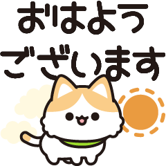 飛び出す♪茶色ハチワレ猫【デカ文字】