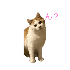 うちの子タラボースタンプ