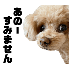 マルコのスタンプ2