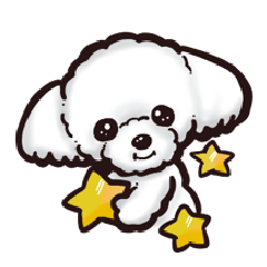 可愛い　マルプー達の日常