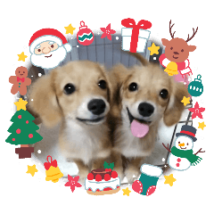 チロルチョコ イベント