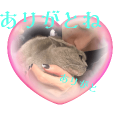 殿のよめ「トトロ様」スタンプ