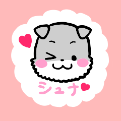 愛しのシュナぷん♡