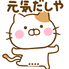 関西弁でお気遣いねこひなカスタム