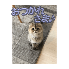 茶々丸のスタンプ(part1)