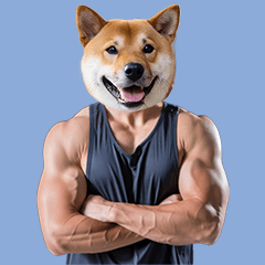 理想の体にできるよ