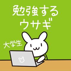 勉強する大学生ウサギ（勉強シリーズ5）
