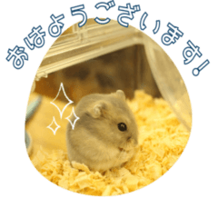 ハムスターのねお君のスタンプ