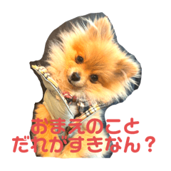 可愛いシャロンさん1&2&3(お得です